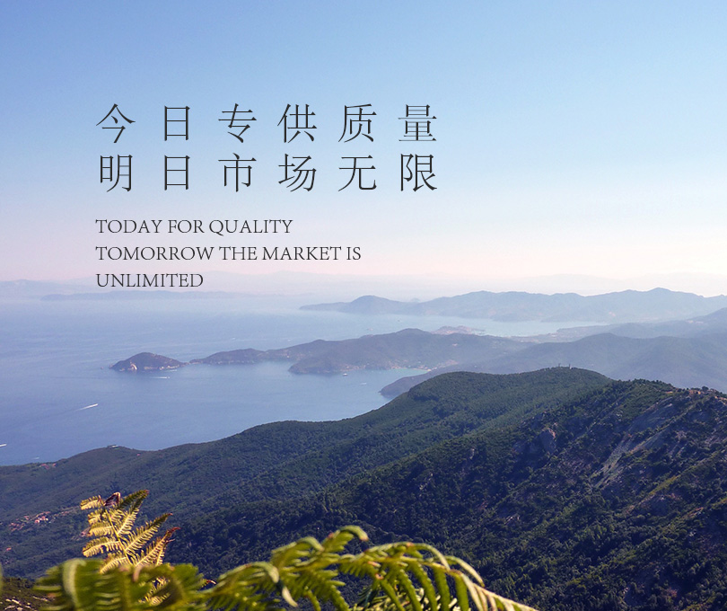 摩登6